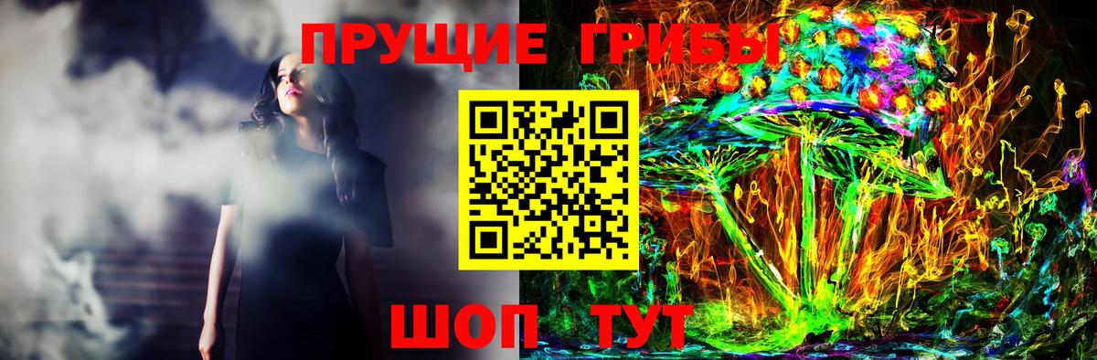 Псилоцибиновые грибы Psilocybine cubensis Коммунар